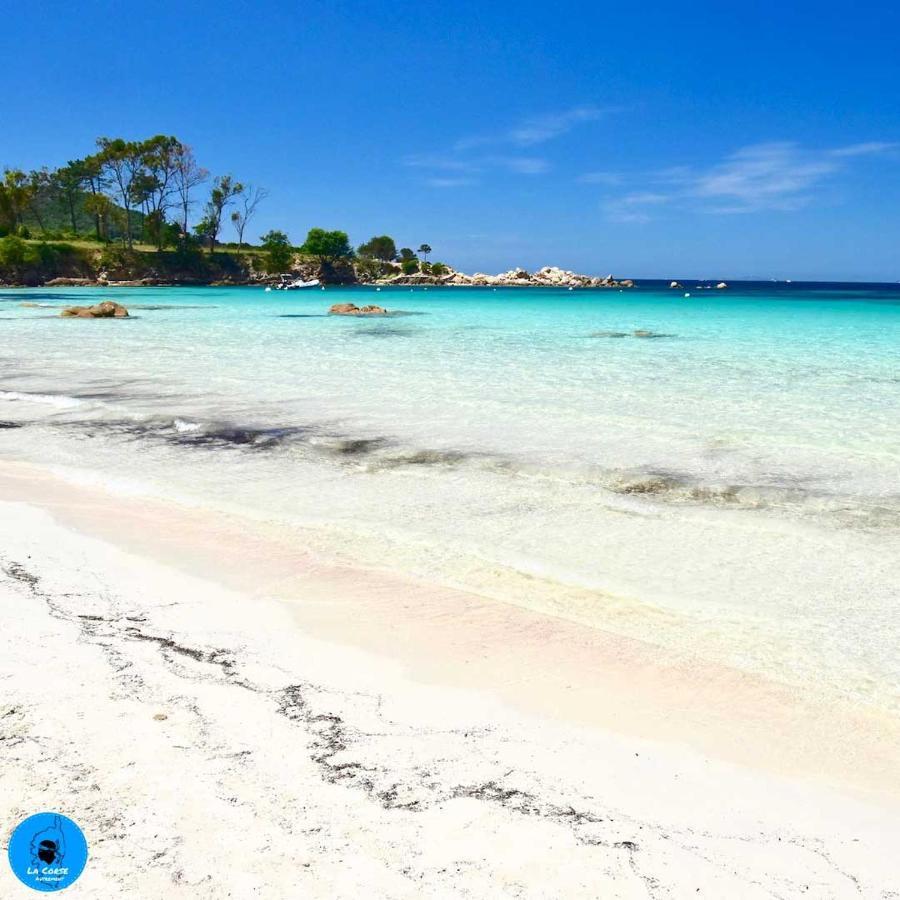 Joli Studio Maisonnette A 100M De La Plage Porticcio  Exteriér fotografie